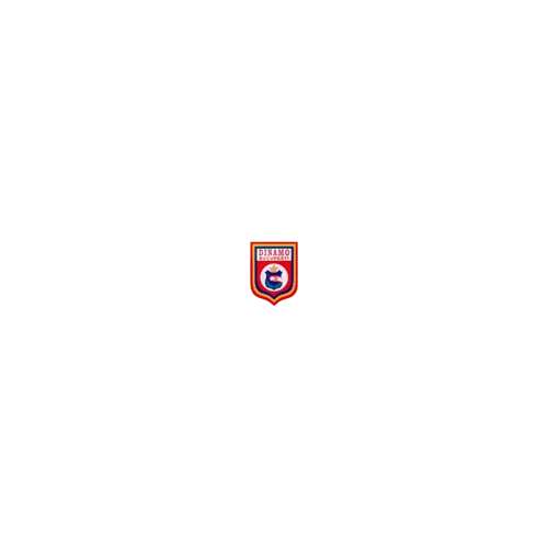 Dinamo