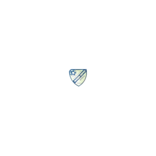 Mladi borac