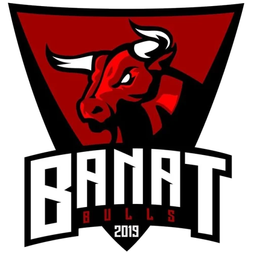 Banat Bulls