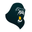 Subotica Gorillas