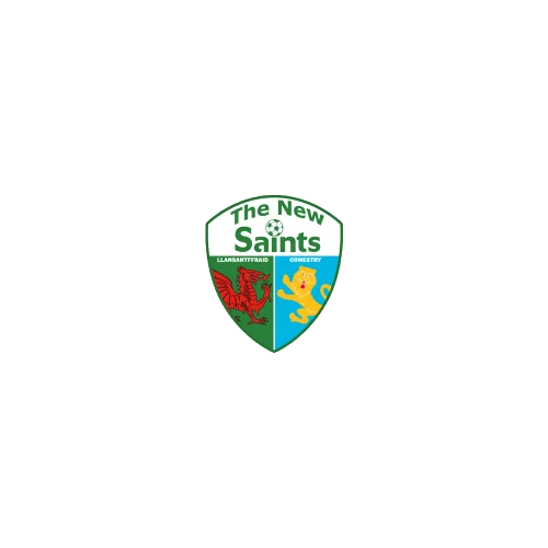 The New Saints