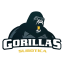 Gorillas Subotica