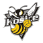 Hornets Košice