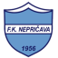Nepričava
