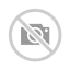 Partizan