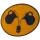 Pola-pola