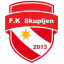 Skupljen 2013