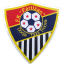 Partizan