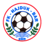 Hajduk