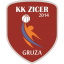 Zicer 2014