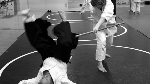 Borilačke discipline sada dostupnije Boranima