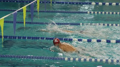 Plivački Gran pri 2013. u Zrenjaninu nadmašio sve dosadašnje