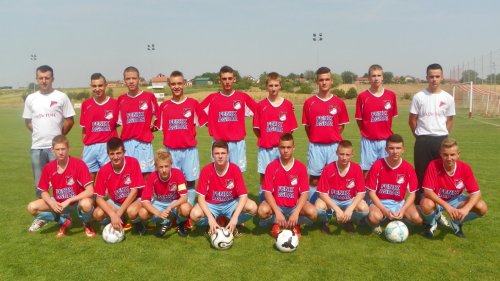 Vojin Puzić, "primer za primer"