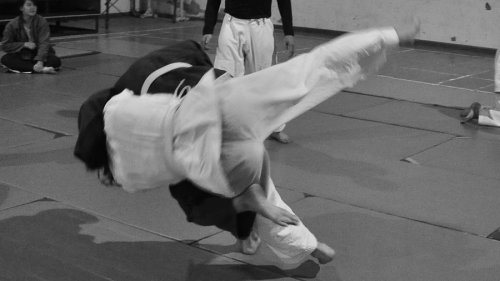 Džiu-džicu: Osam medalja za Aleksinčane