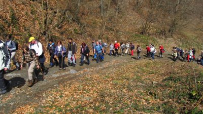 Planinari uskoro kreću da osvoje vrh"Samar"