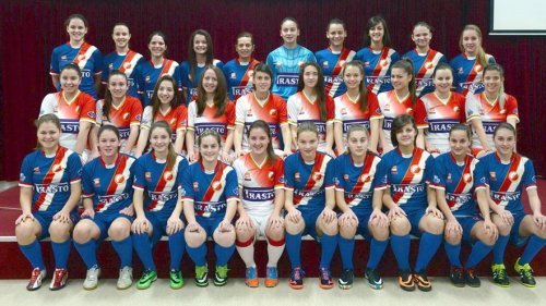 Veni, vidi, vici - Vojvodina u plej ofu, Superliga Srbije