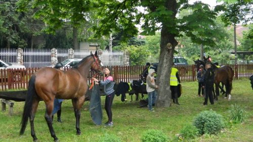 Počeo šampionat Srbije u daljinskom jahanju