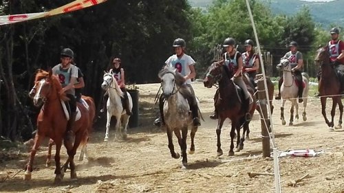 Konjički klub Aranđelovac dobar domaćin drugog kola državnog prvenstva u daljinskom jahanju