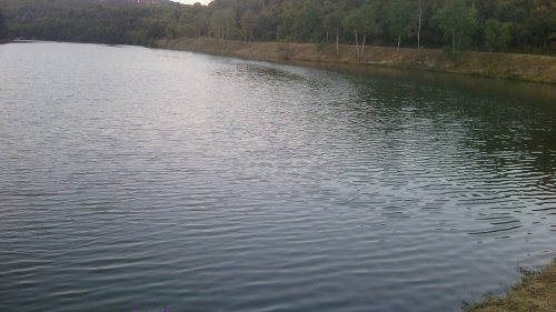 Ribolovci iz 11 gradova u nedelju na tradicionalnom kupu Aranđelovca