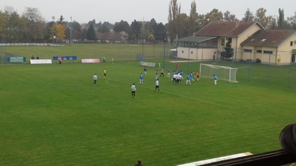 Radnički "protutnjao" i kroz Čelarevo!, Prva liga Srbije