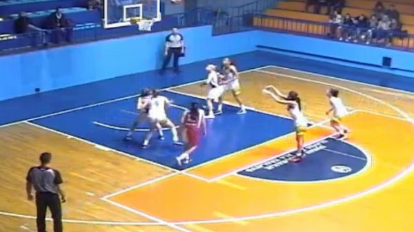 Višnja ne miriše "lale", Prva ženska liga Srbije