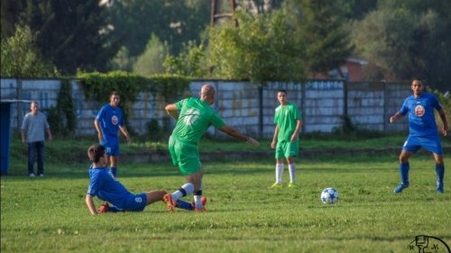 Kosanica ostala praznih rukava u Resavici, Zona "Zapad"