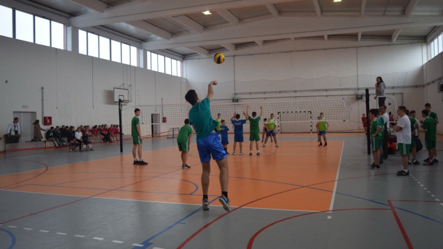 Prvenstvo pećinačke opštine u odbojci