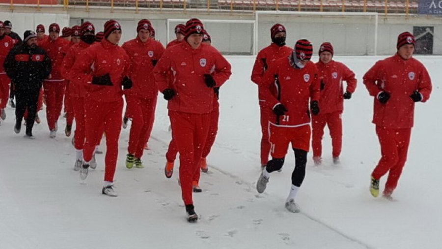 Zmajevi raširili krila – Voždovac počeo pripreme, Superliga Srbije