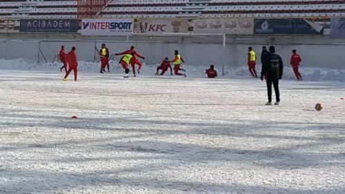 Vredni Zmajevi, Superliga Srbije