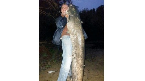 Peđinih pola sata borbe s kapitalcem