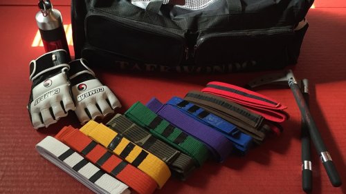 Tekvondo: Primer dobre saradnje, zajednički trening najvećih rivala