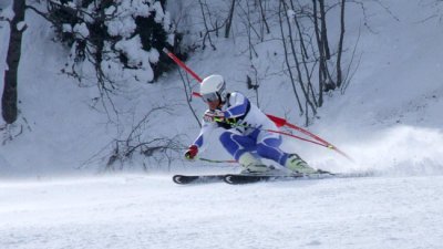 Šljivić sjajan u Sloveniji