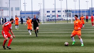 Govedarica na čelu  kolone