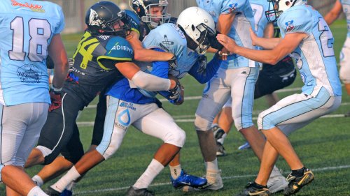 Veprovi prizemljili Zmajeve