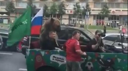 Medo, truba, slavlje