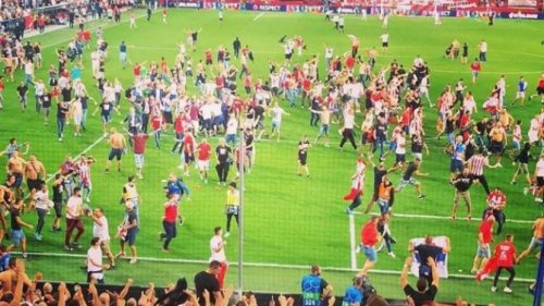 Delije Zvezdu gledaju na tv