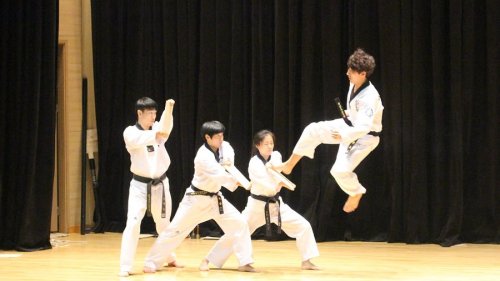 Tekvondo: Prvenstvo Srbije, odlični Zmajevi iz Rume