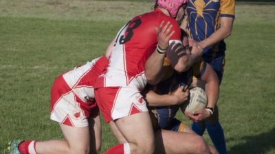 Umalo stotka Zvezde, Radnički nova žrtva