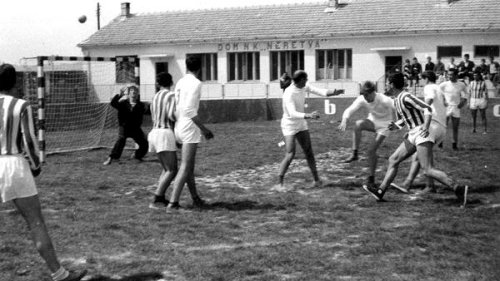 49 družina – sekcija u Jugoslaviji