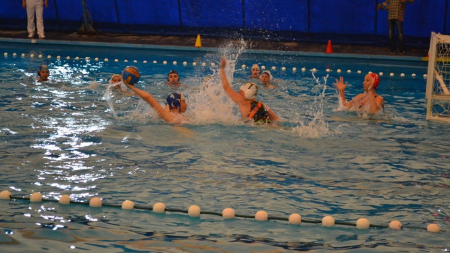 Dunav liga kreće od decembra!, Kup Srbije