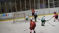 Hokejaši Zvezde gostuju Medveščaku, IHL liga