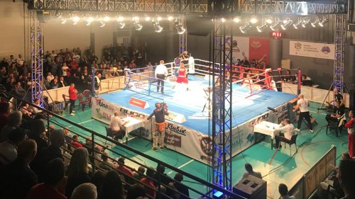 Bokserska poslastica u srpskoj prestonici