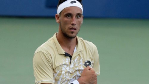 Džumhur u polufinalu i istoriji bosanskohercegovačkog tenisa