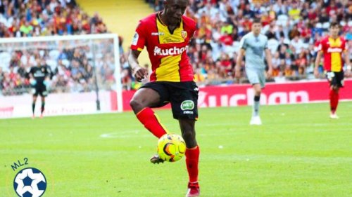 Mladi Francuz na meti Zvezde?, Superliga Srbije