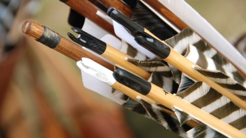 Streličartsvo: Luka Grozdanović, Tanja Savić u olimpik stilom, Romana Caran i Ljubiša Urošević kopaund stilom postali šampioni Srbije na otvorenom