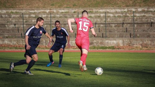 Aleks ne zaboravlja korene, Srpska liga Vojvodina