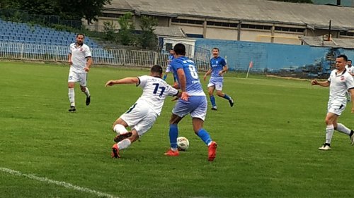 Čamagić za radost "belih", Zona Šumadijsko-raška