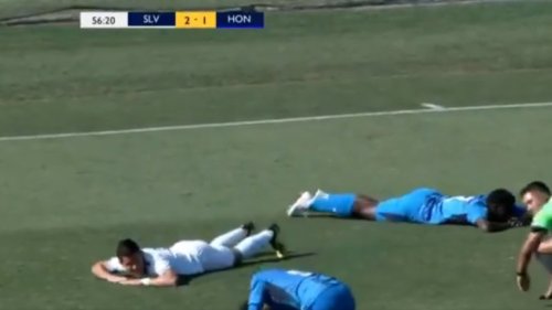 Pčele protiv fudbala