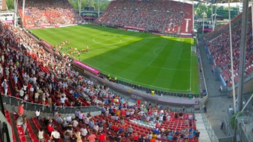 Govedarica čuva Zrinjski (video)