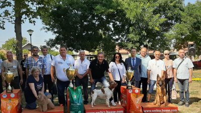 Najlepši pas izložbe epanjel breton Marije Jovanović iz Obrenovca